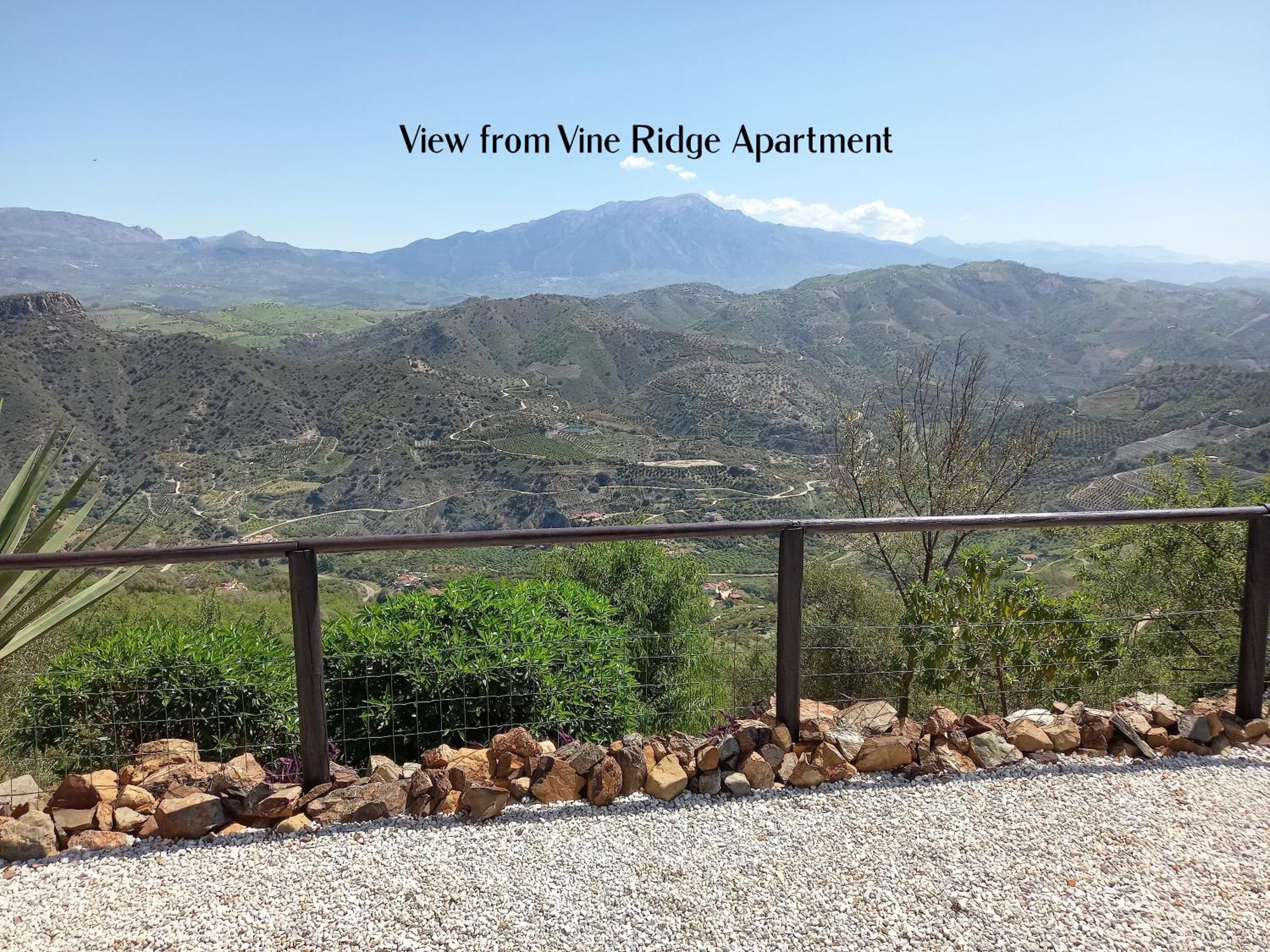 Vine Ridge Studio And Apartment Comares المظهر الخارجي الصورة